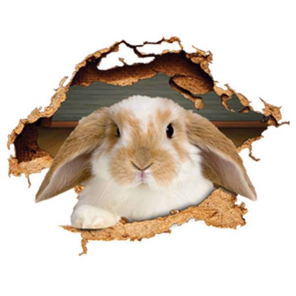 استیکر سه بعدی ژیوار طرح خرگوش بازیگوش، Zhivar Rabbit 3D Wall Sticker