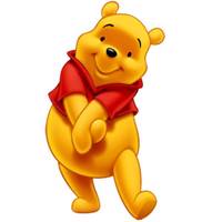 استیکر سه بعدی ژیوار طرح پوی تنها Zhivar Alone Pooh 3D Wall Sticker